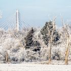 Blick zur Elbauenbrücke