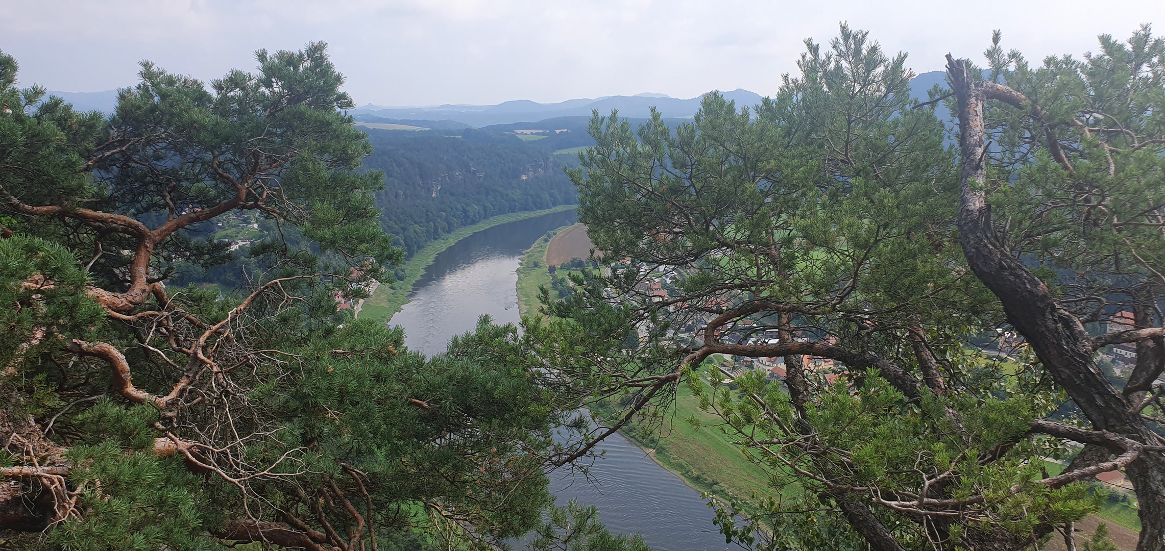 Blick zur Elbe