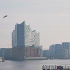 Blick zur Elbphilharmonie 