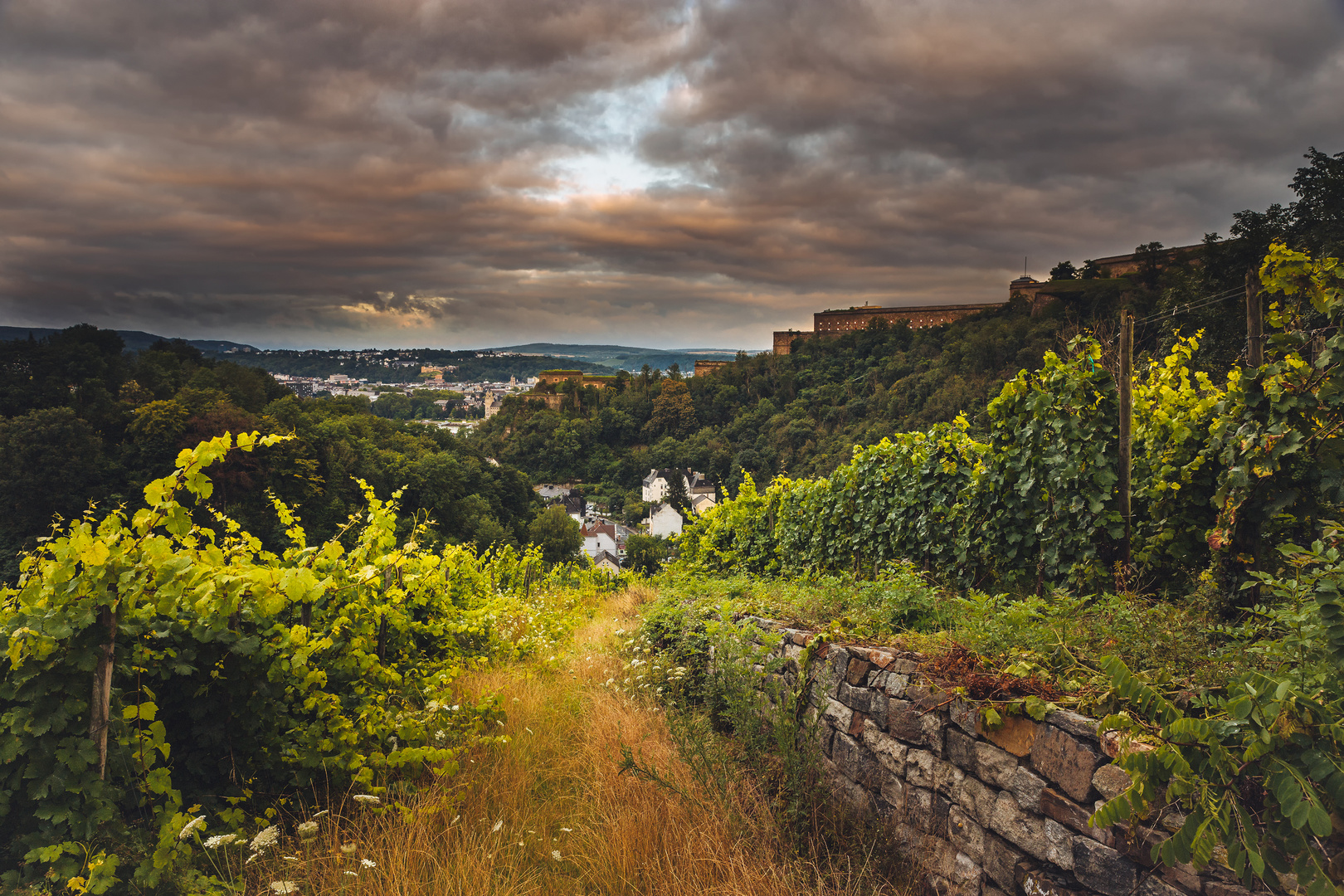 Blick zur Festung Ehrenbreitstein