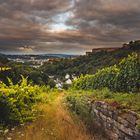 Blick zur Festung Ehrenbreitstein