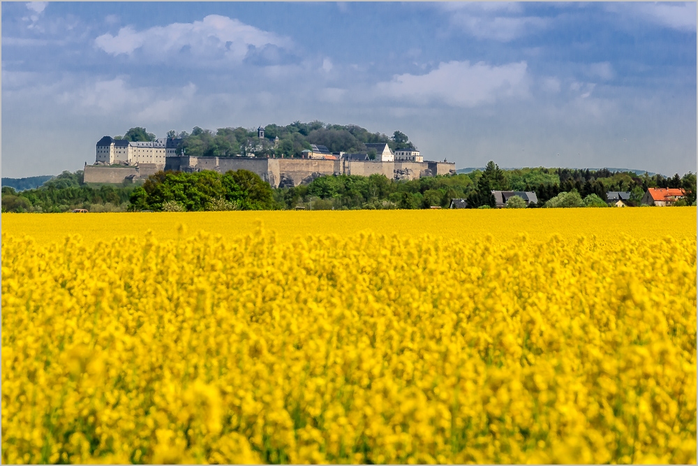 Blick zur Festung Königstein