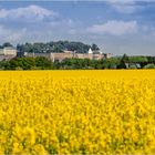 Blick zur Festung Königstein