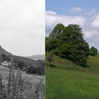 Blick zur Festung Königstein - 1989 und 2020