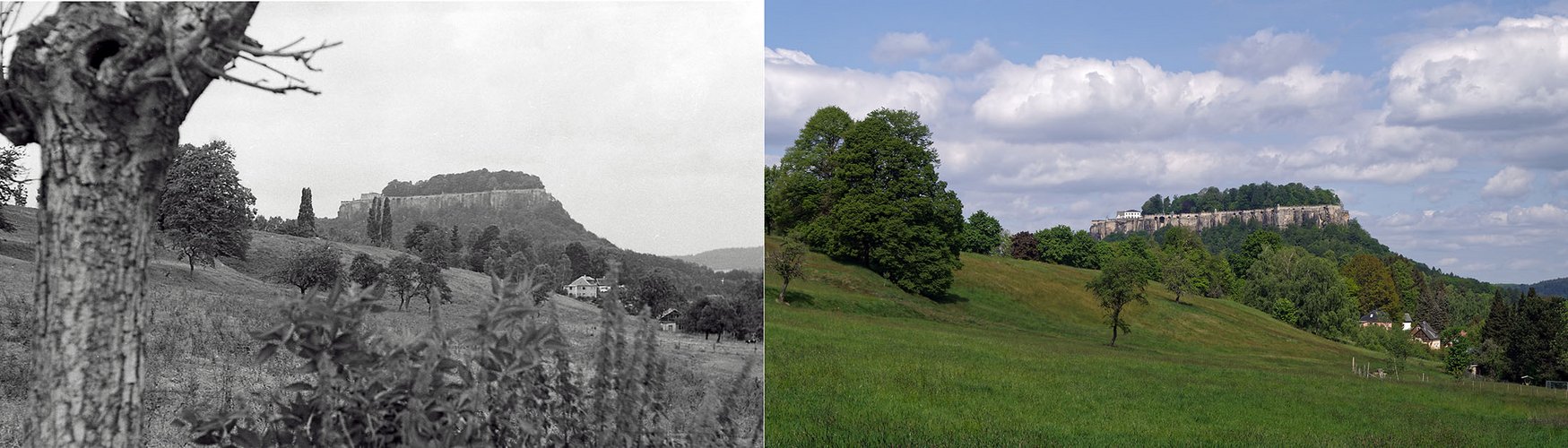 Blick zur Festung Königstein - 1989 und 2020