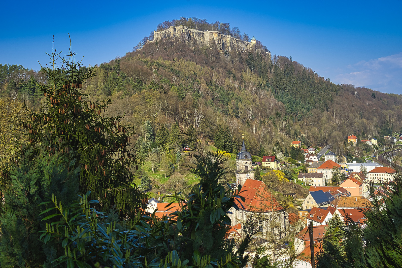 Blick zur Festung Königstein