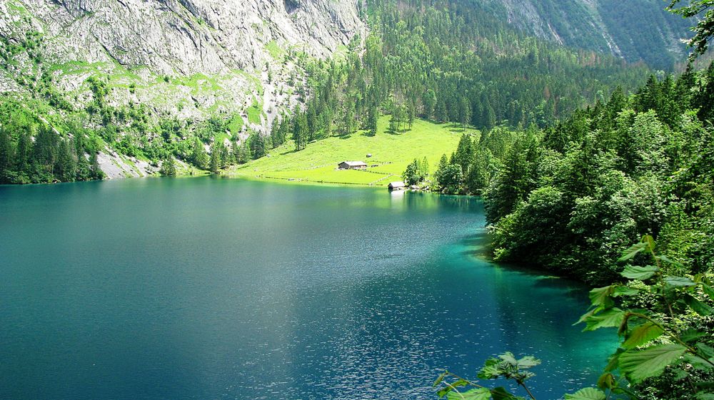 Blick zur Fischunkelalm am Obersee