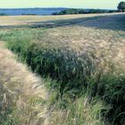 Blick zur Flensburger Förde