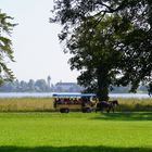 Blick zur Frauen Chiemsee Insel