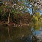 Blick zur Gänseinsel