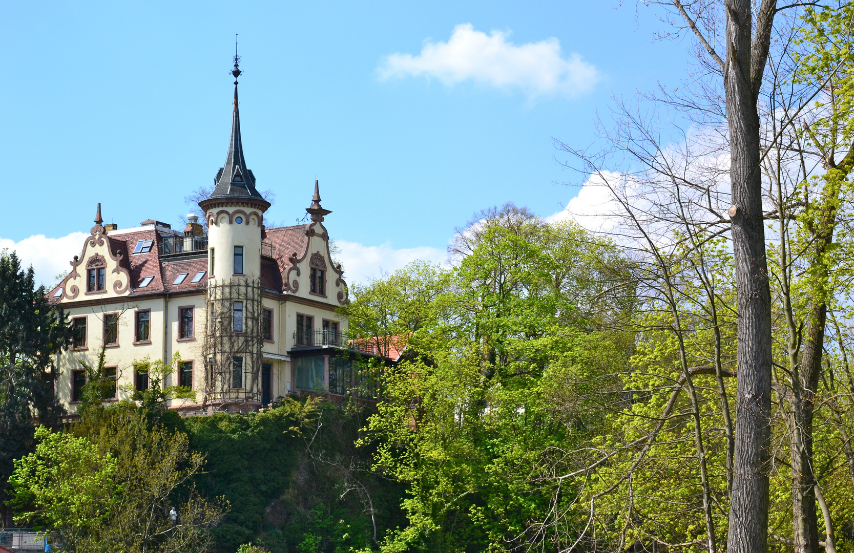 Blick zur Gattersburg in Grimma