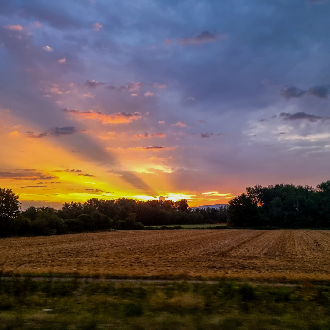 Blick zur Hornisgrinde