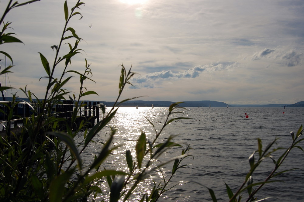 Blick zur Insel Mainau