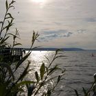 Blick zur Insel Mainau