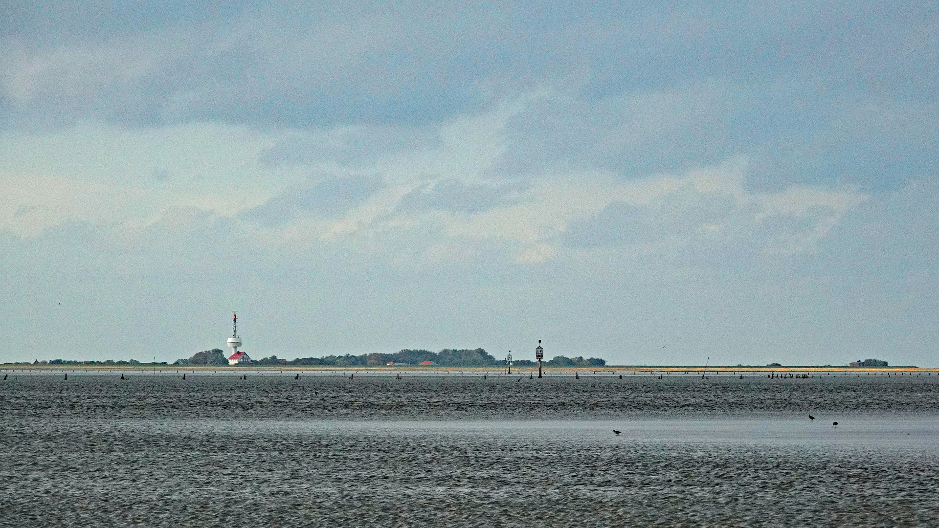 Blick zur Insel Neuwerk