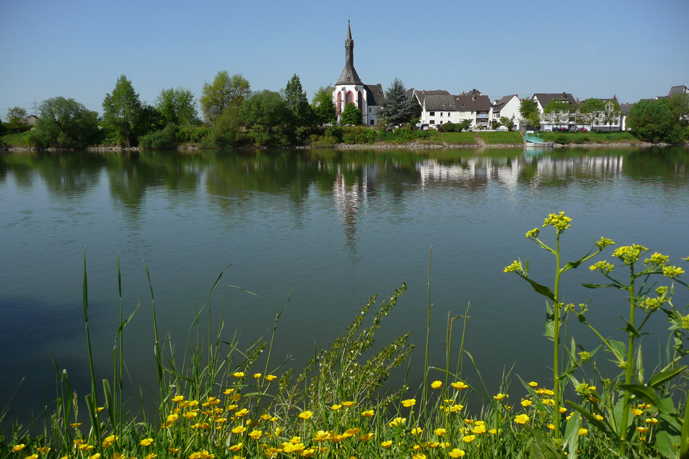 Blick zur Insel Niederwerth (einzige Insel im Rhein mit einer Dorfgemeinde)