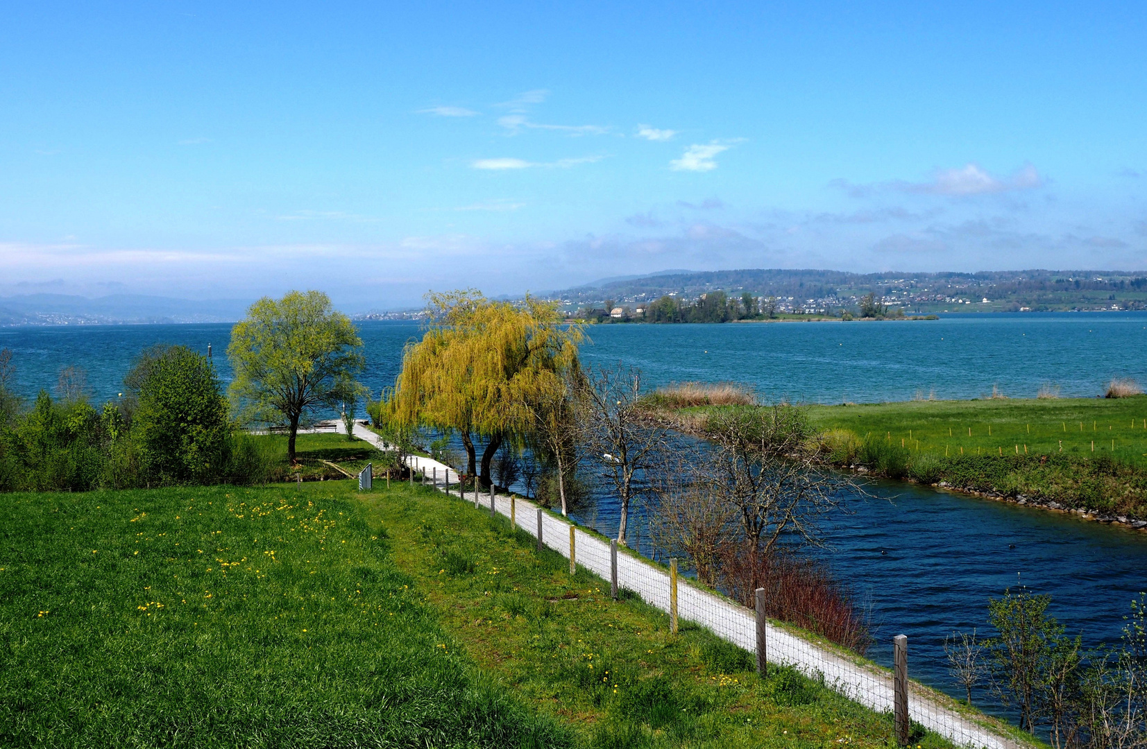 Blick zur Insel Ufnau