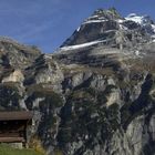 Blick zur Jungfrau Berner Oberland