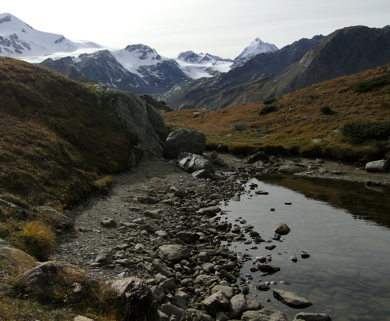 Blick zur Königsspitze