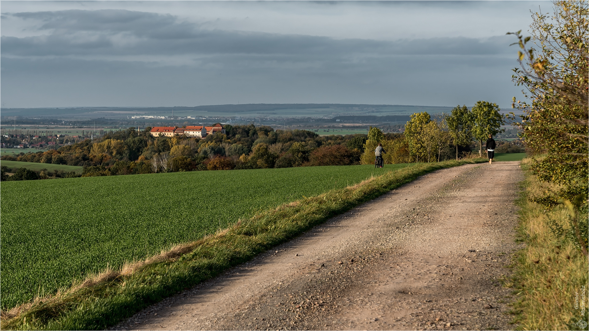 Blick zur Konradsburg