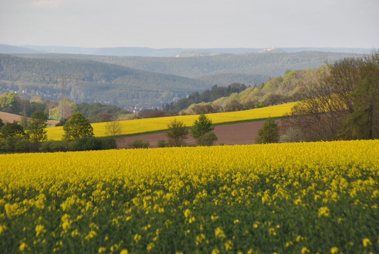 Blick zur Leuchtenburg