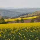 Blick zur Leuchtenburg