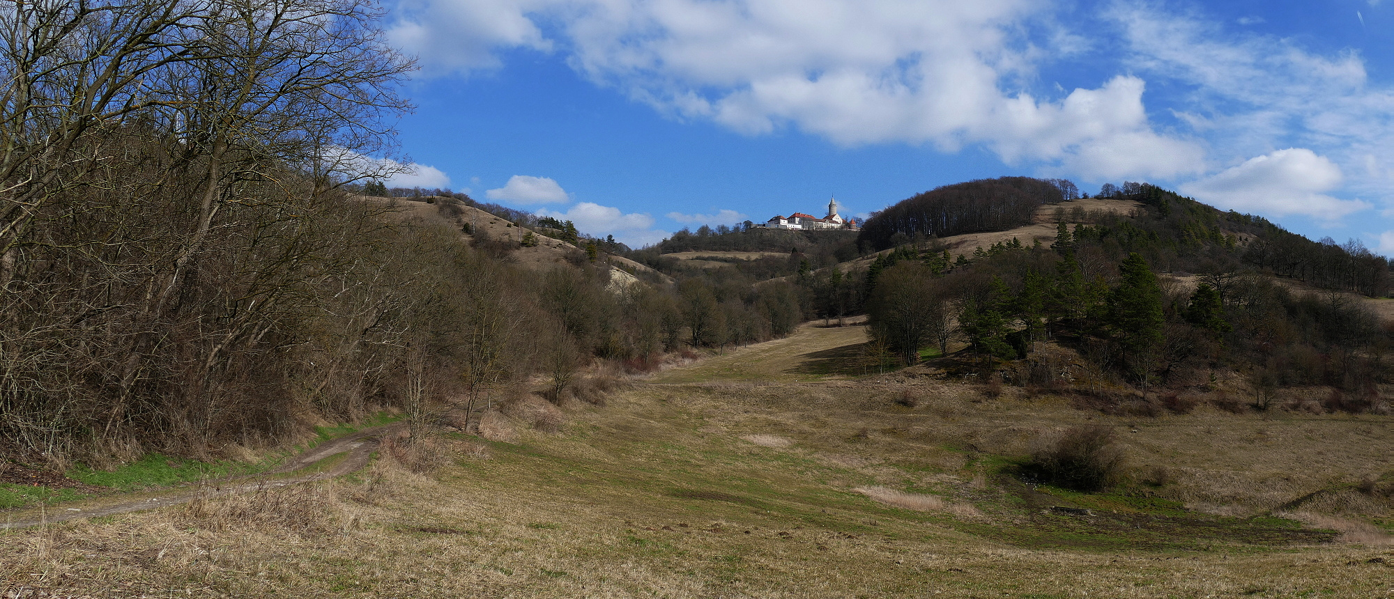 Blick zur Leuchtenburg 