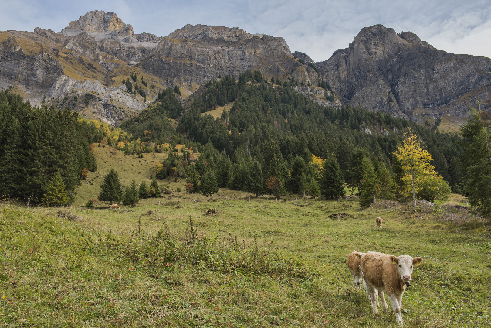 Blick zur Lohngruppe