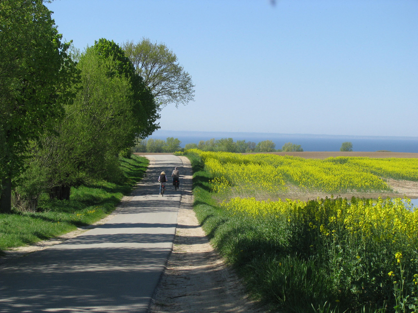 Blick zur Lübecker Bucht 