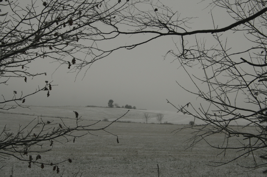 blick zur märchenwiese