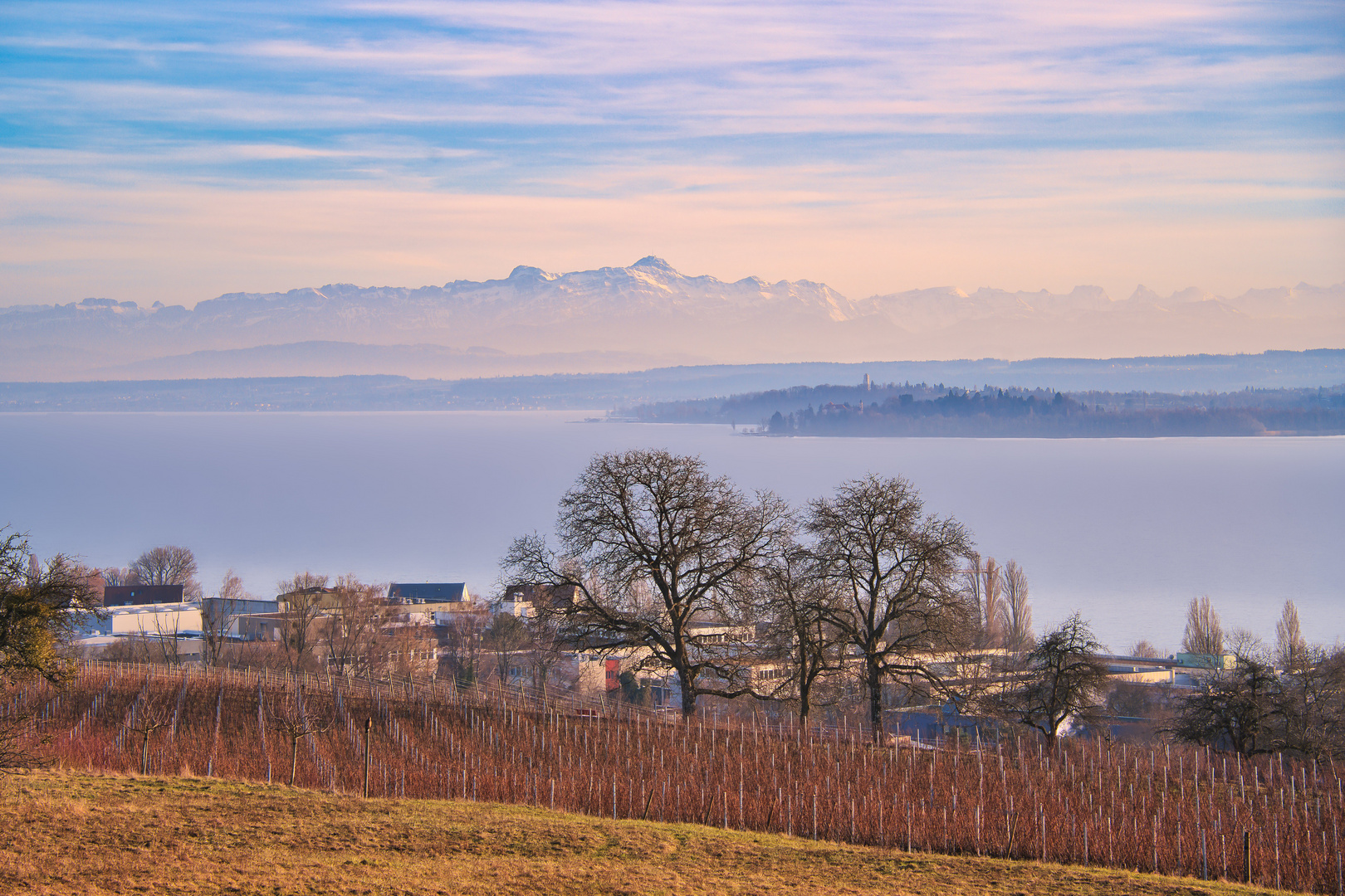 Blick zur Mainau und den Alpen