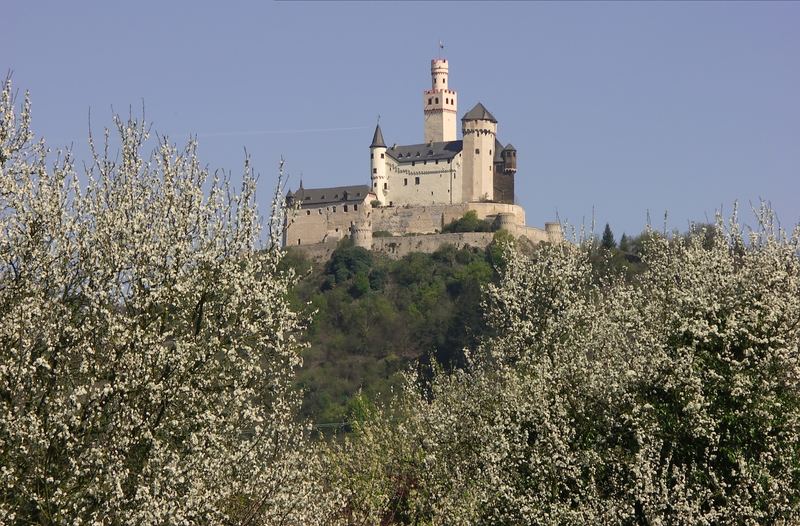 Blick zur Marksburg während der Baumblüte