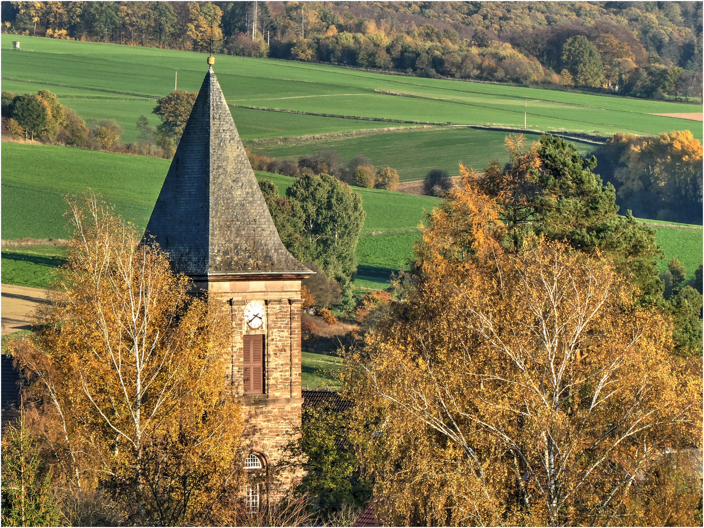 Blick zur Martin-Luther-Kirche