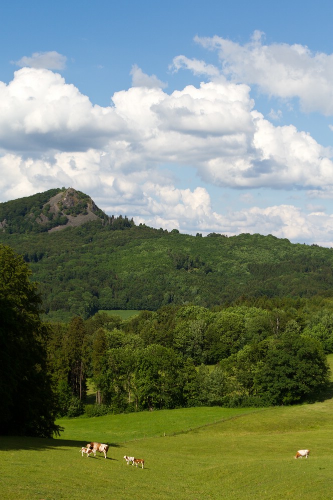 Blick zur Milseburg in der Rhön