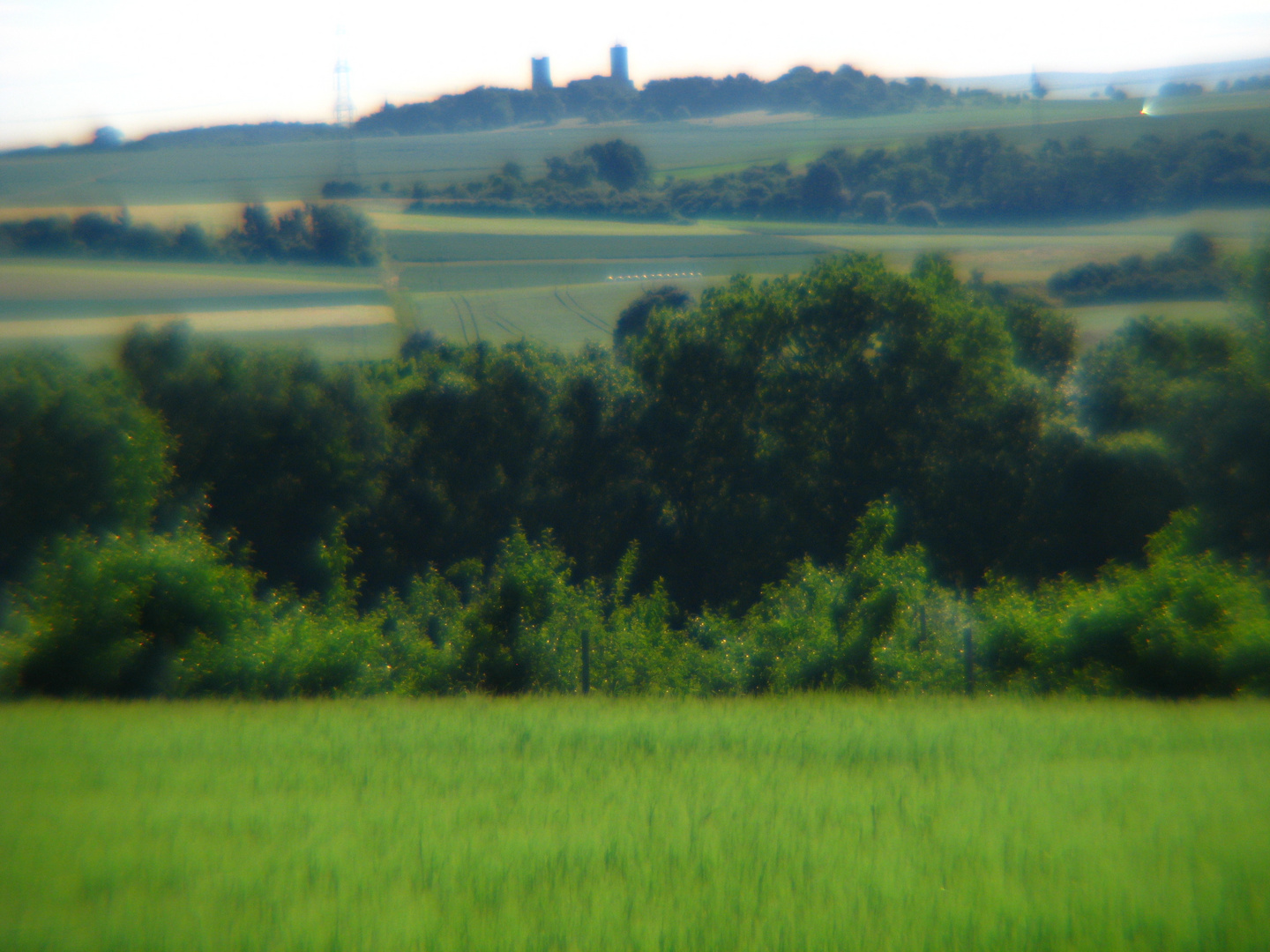 Blick zur Münzenburg, bei Butzbach, Hessen, Germany