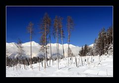 Blick zur Nordkette in Weiß und Blau