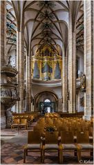 Blick zur Orgel im Dom St. Marien