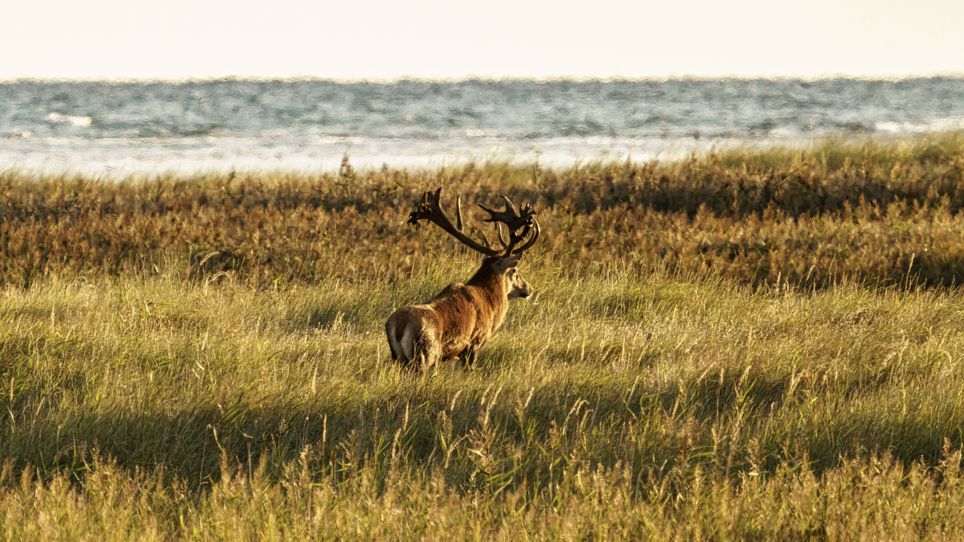 Blick zur Ostsee, 2020.09.18