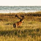 Blick zur Ostsee, 2020.09.18