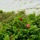 Blick zur Ostsee