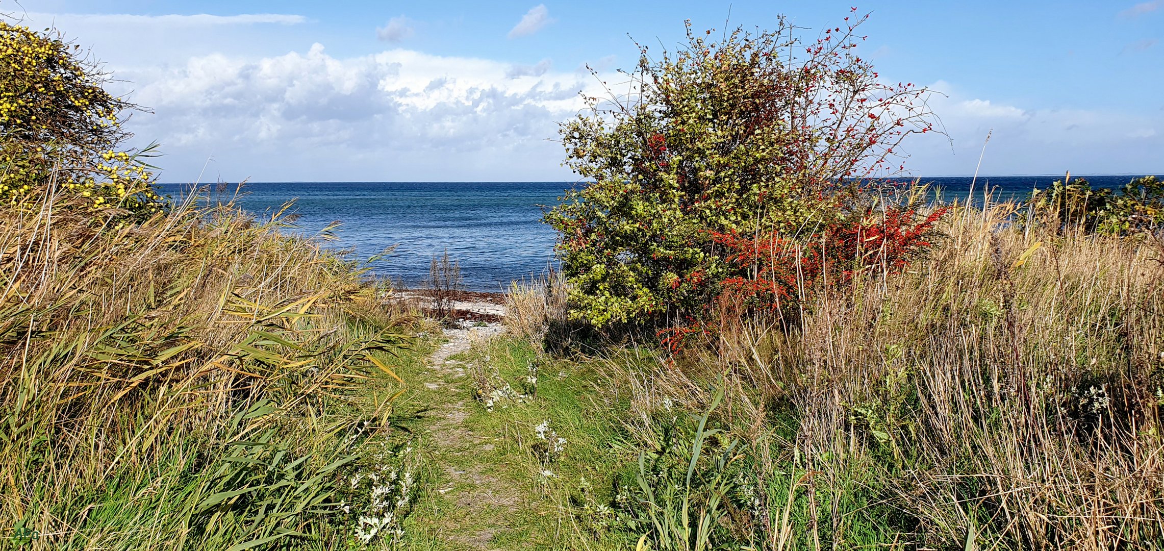 Blick zur Ostsee