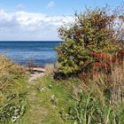 Blick zur Ostsee