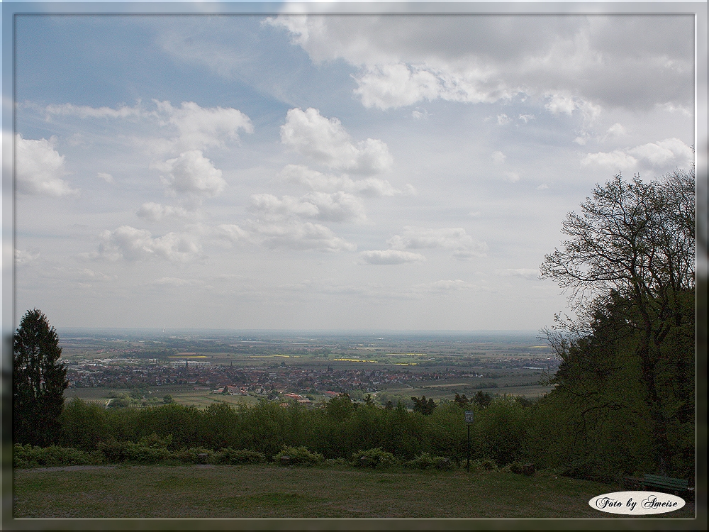 Blick zur Rheinebene vom Friedensdenkmal