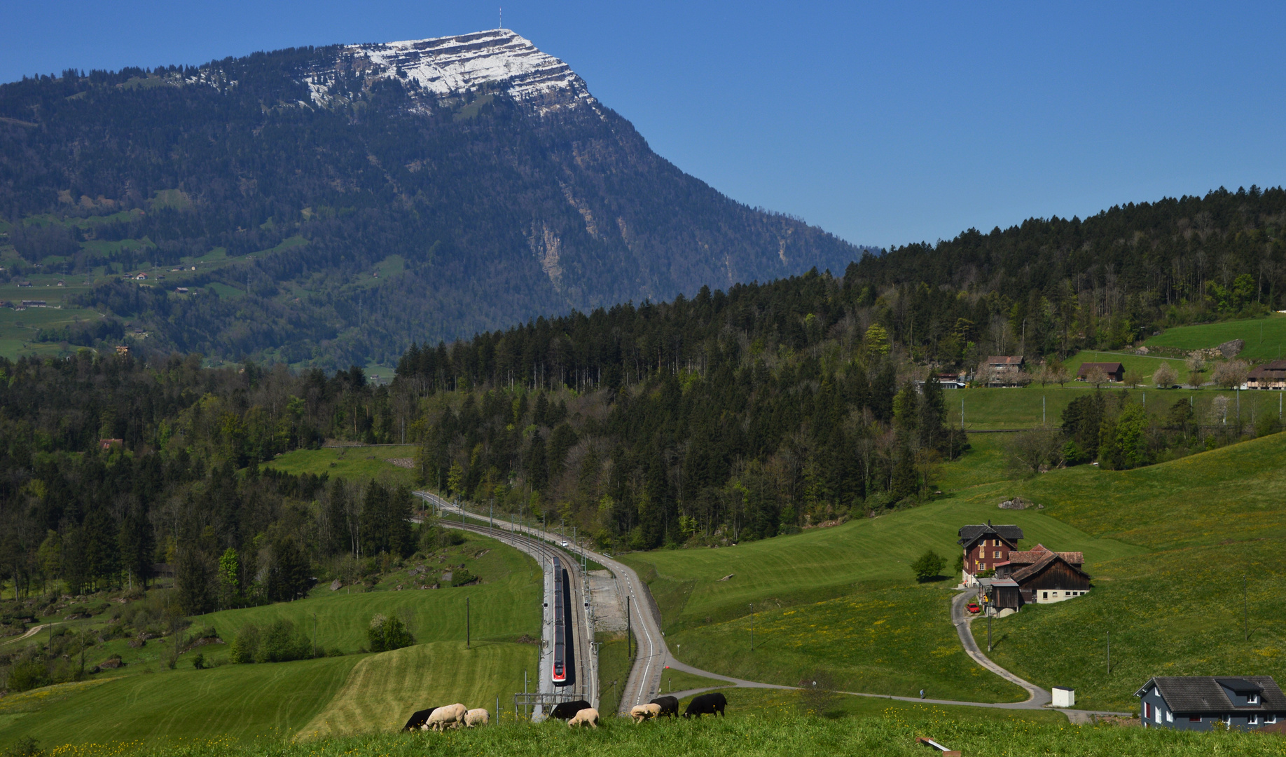 Blick zur Rigi