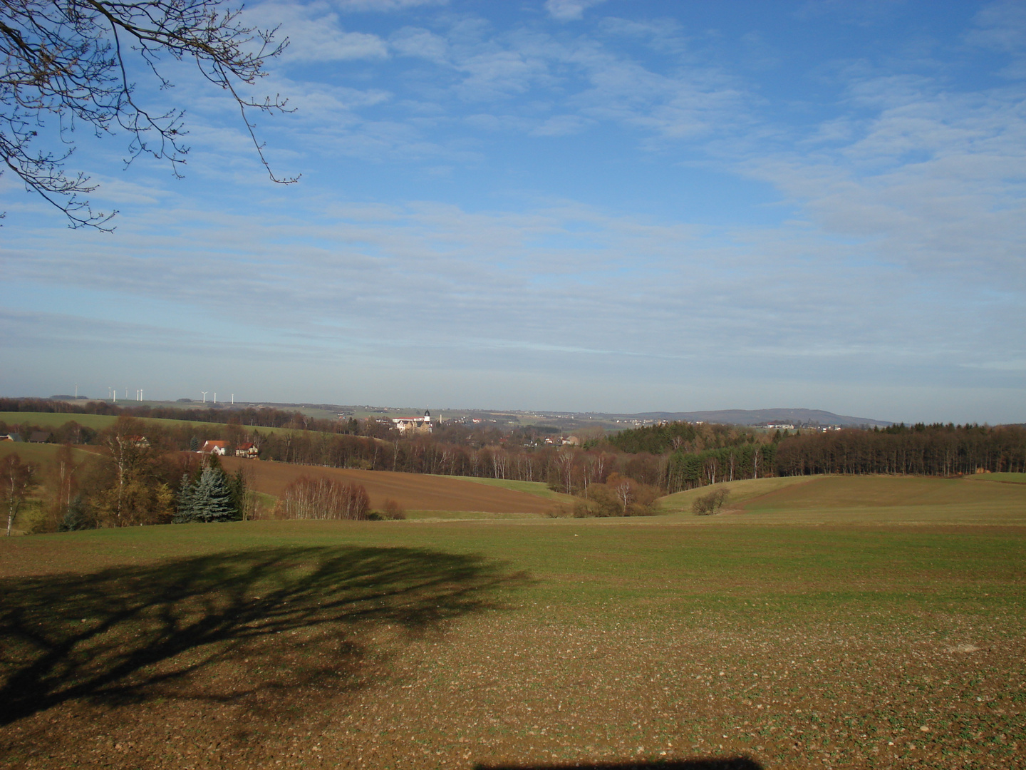 Blick zur Rochsburg