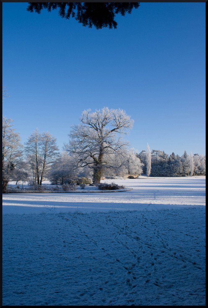 Blick zur Roseninsel