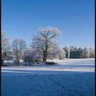 Blick zur Roseninsel