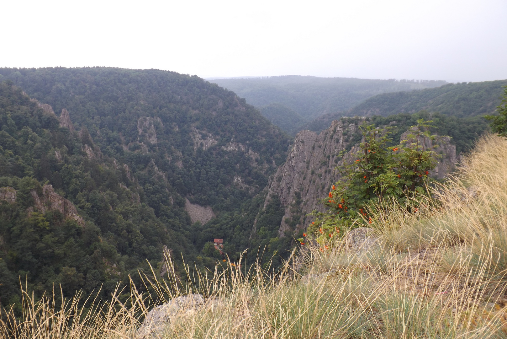 Blick zur Roßtrappe