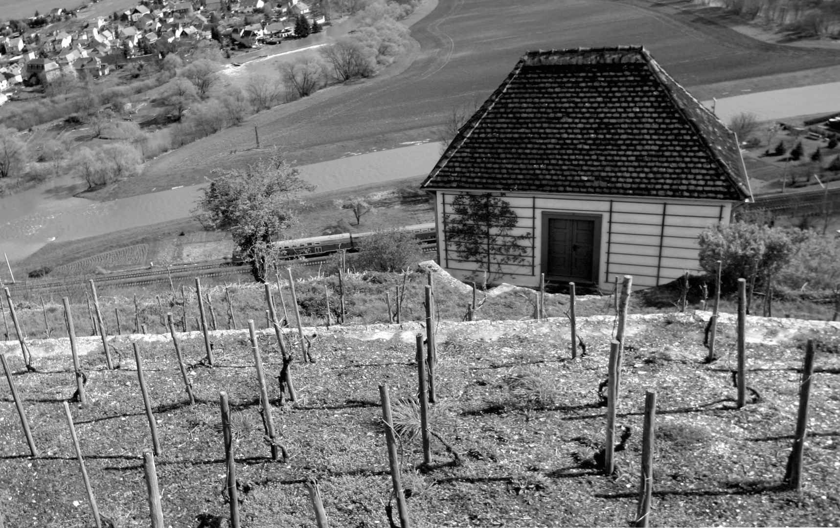 Blick zur Saale vom Weinberg in Dornburg