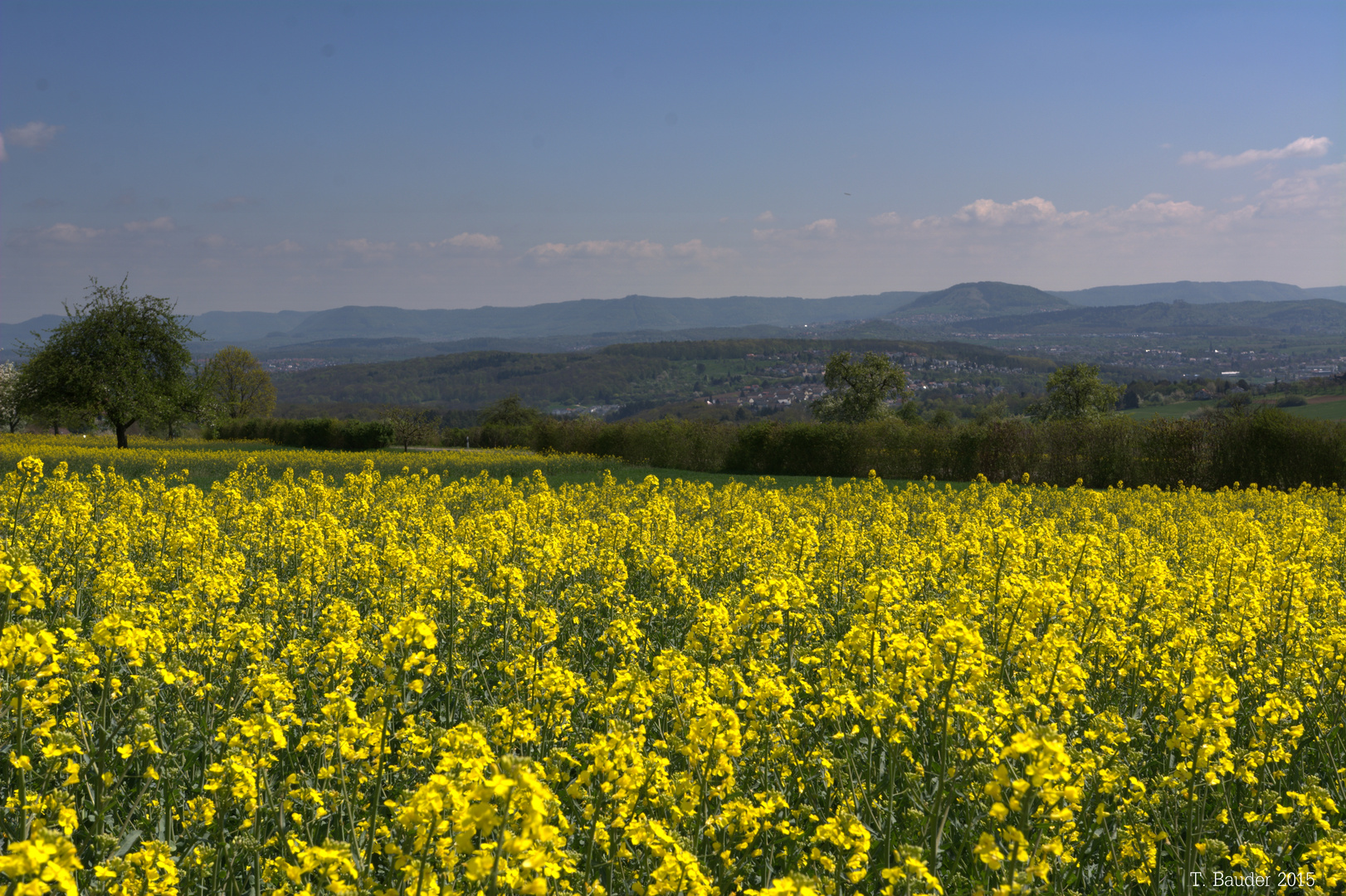 Blick zur schwäbischen Alb